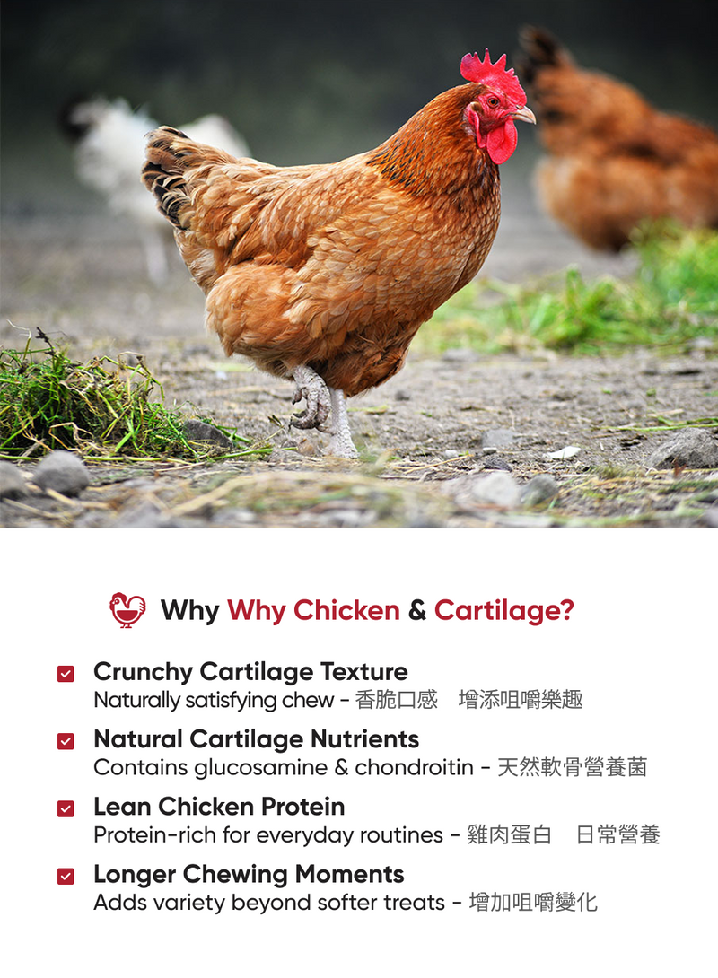 S6 Chicken & Cartilage 25g / 雞肉軟骨 25g