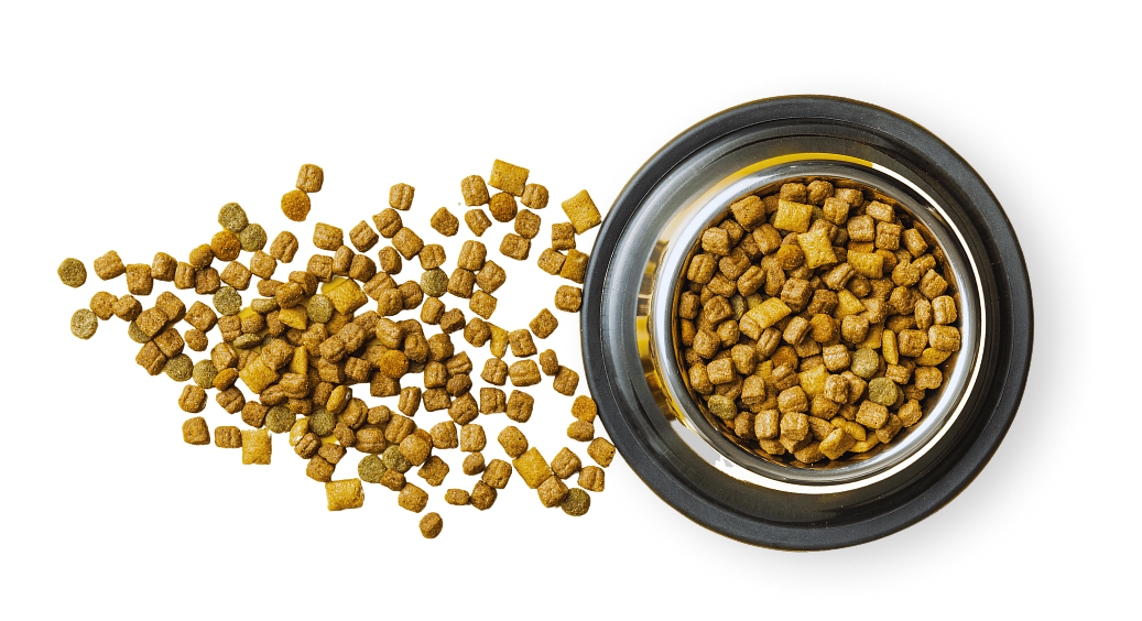 Kaleb Kibble Kibble samples – Finiki Asia